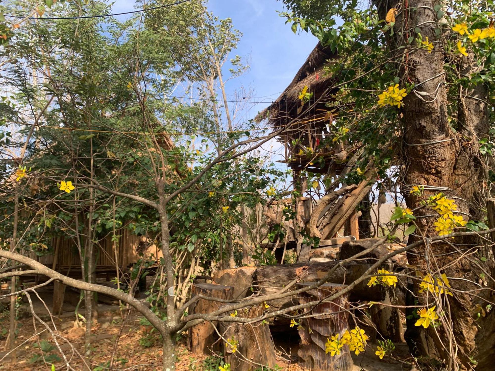 Khu Du Lich Sinh Thai, Nghi Duong Homestay Hoang Anh - Kon Xom Luh Kon Tum ภายนอก รูปภาพ